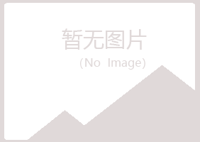 伊春西林冰夏美容有限公司